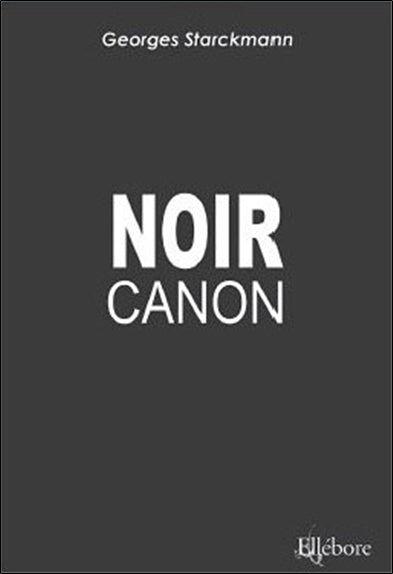 Noir canon : mémoires d'un marchand d'armes Social Sciences