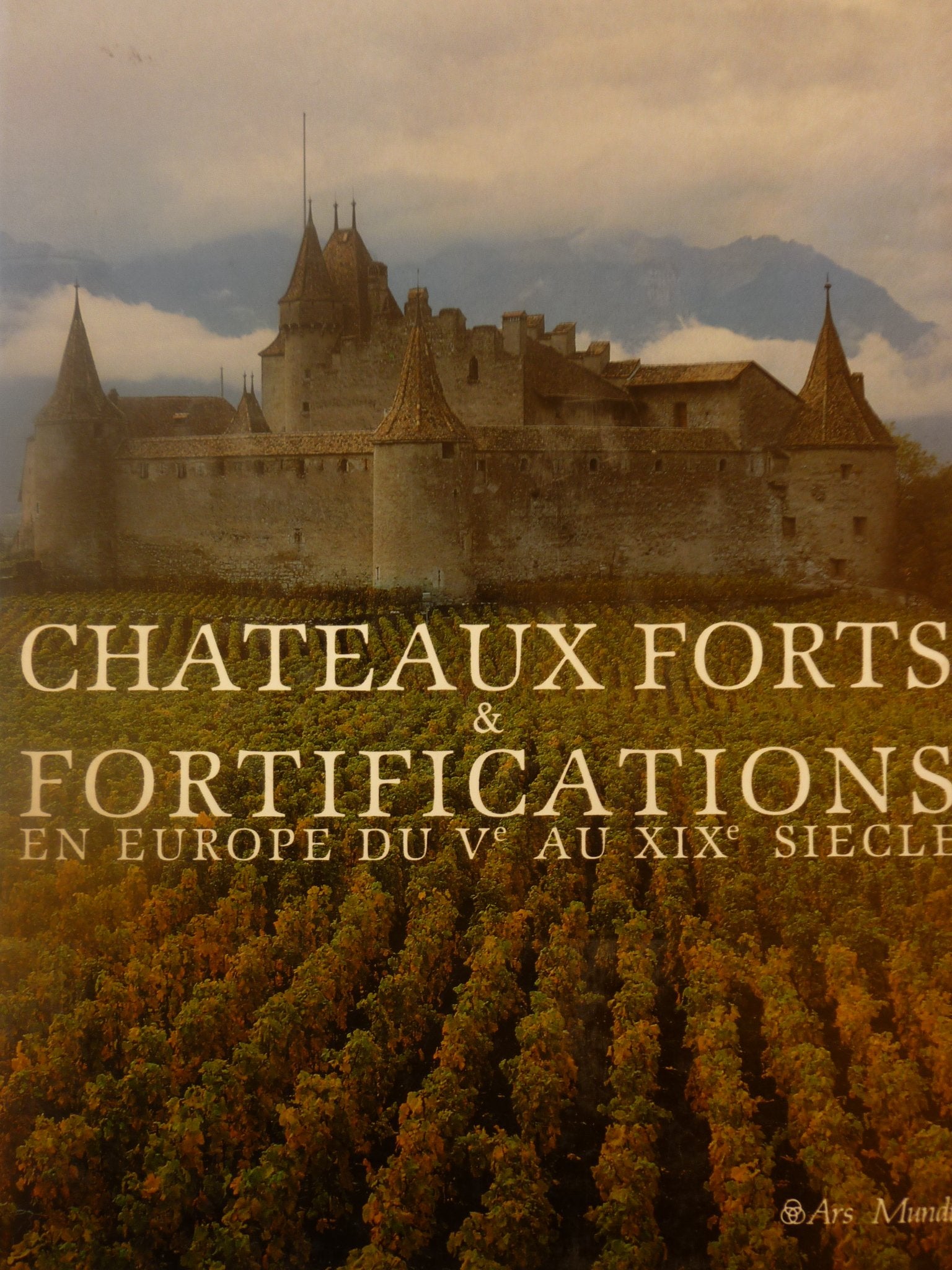 Châteaux Forts et Fortifications en Europe du Vème au XIXème siècle book