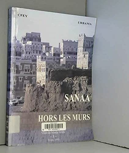 Sanaa hors les murs : une ville arabe contemporaine book