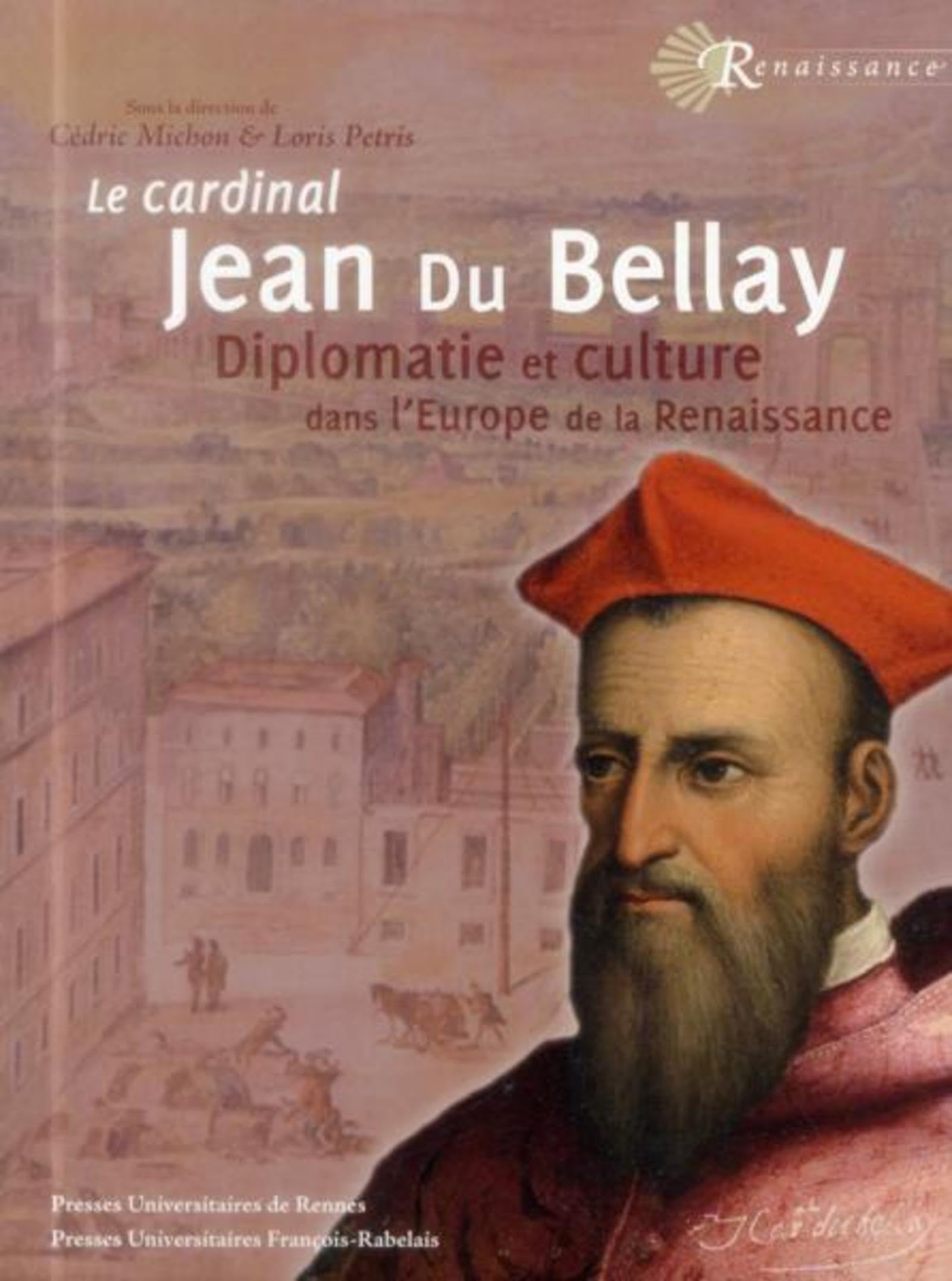 CARDINAL JEAN DU BELLAY: DIPLOMATIE ET CULTURE DANS L'EUROPE DE LA RENAISSANCE book