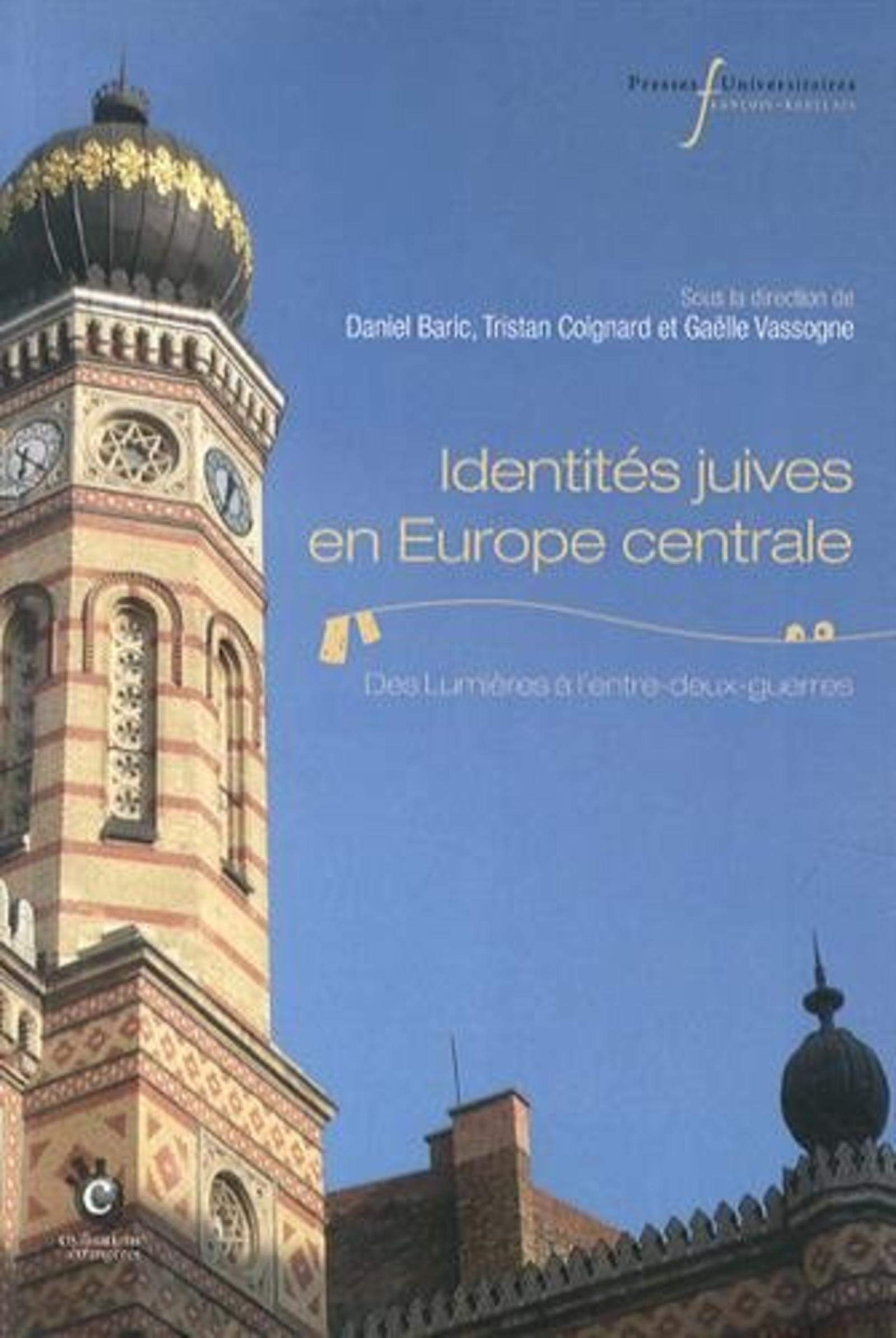 IDENTITES JUIVES EN EUROPE CENTRALE: DES LUMIERES A L'ENTRE-DEUX-GUERRES book