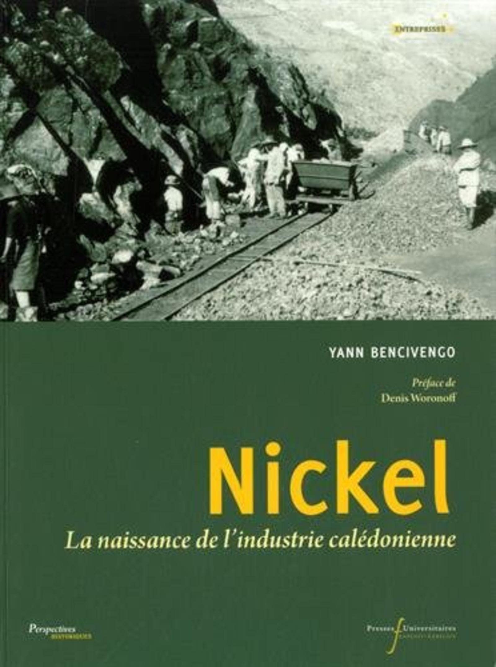 NICKEL: LA NAISSANCE DE L'INDUSTRIE CALEDONIENNE book