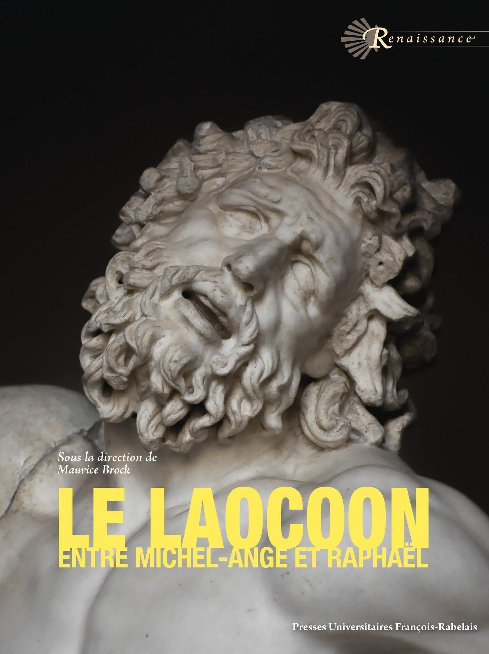 Le Laocoon entre Michel-Ange et Raphaël: un ressort de l'émulation book