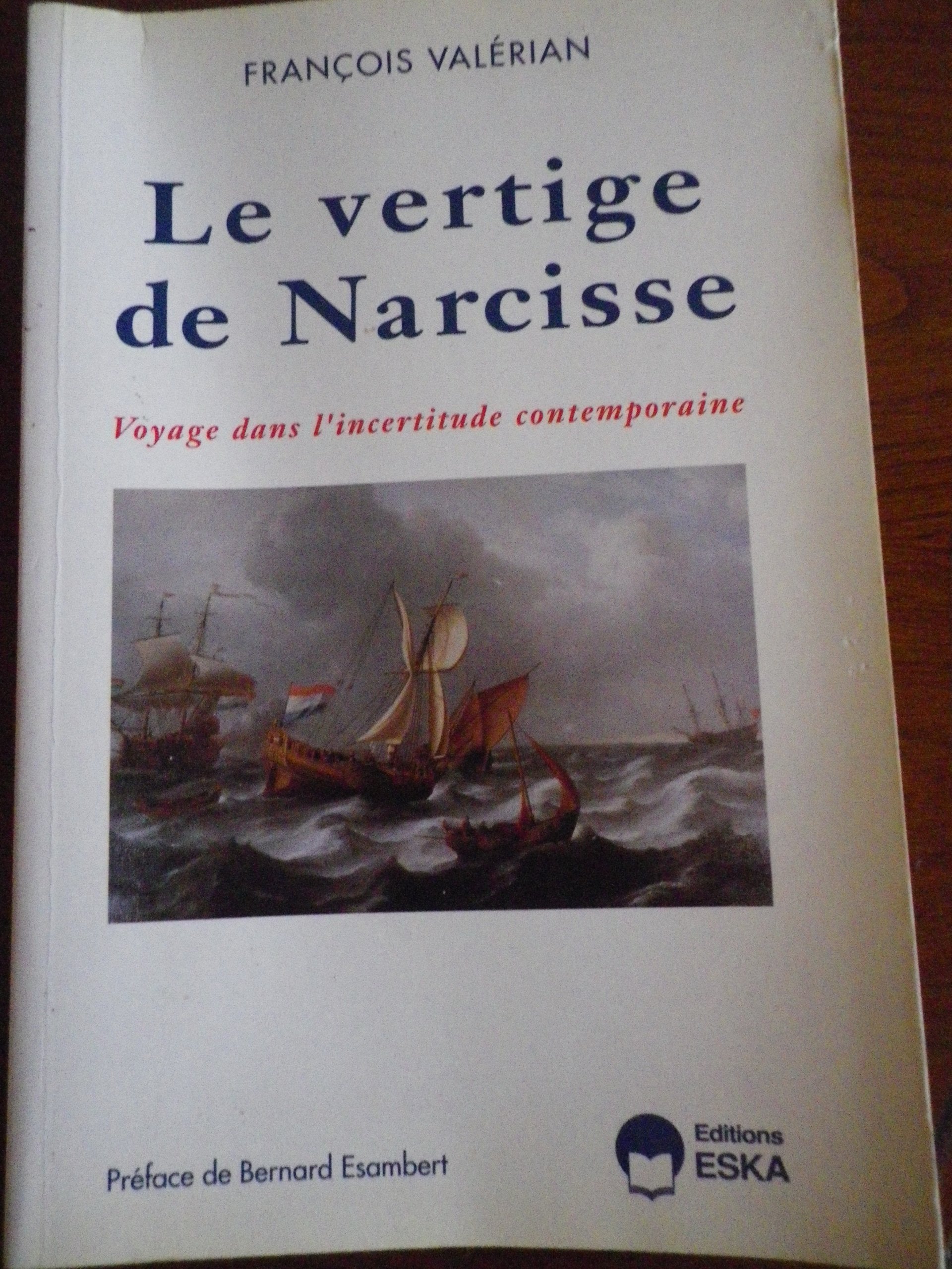 Le vertige de Narcisse : voyage dans l'incertitude contemporaine Books