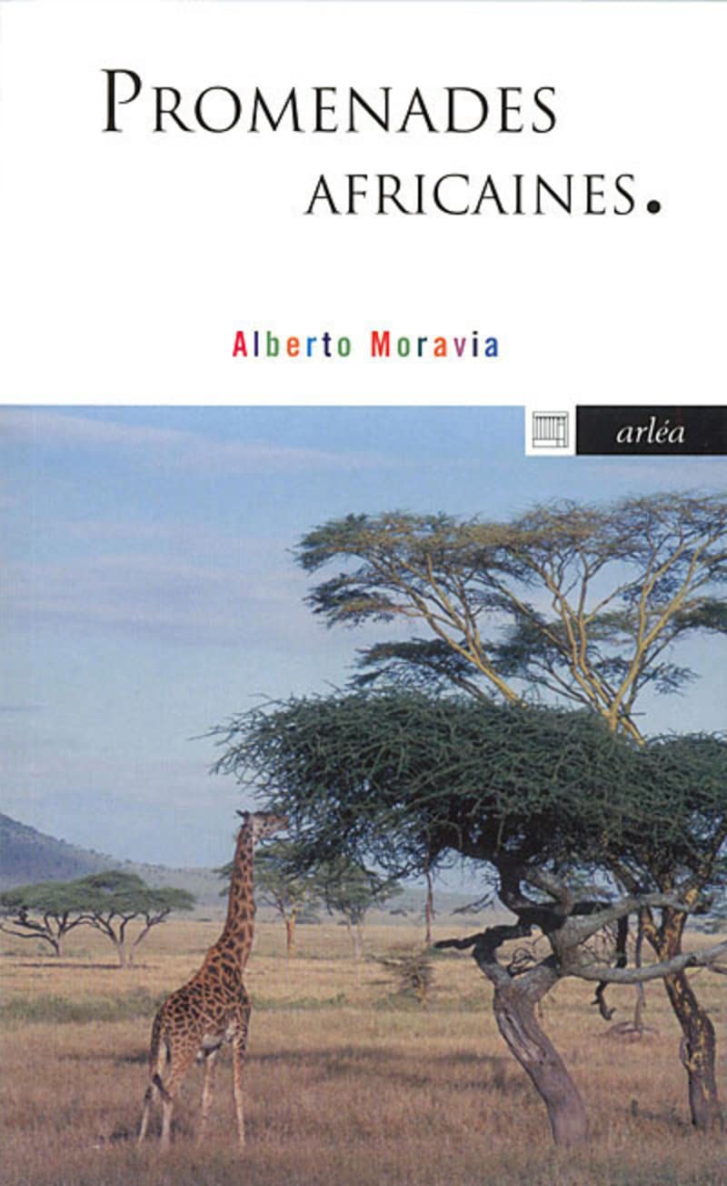 Promenades africaines Contemporary literature