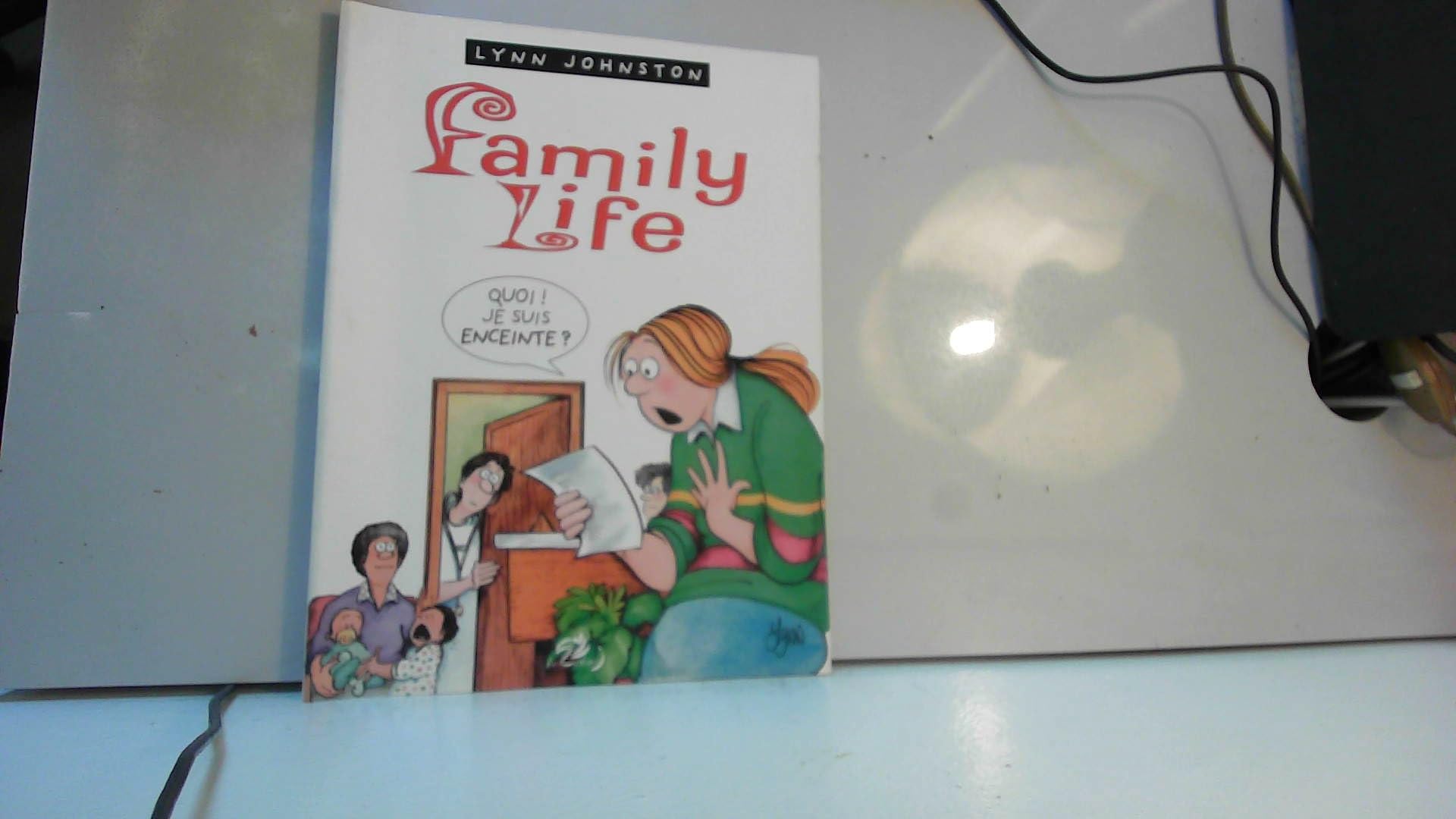 Family life, tome 2 : quoi ? je suis enceinte ? book