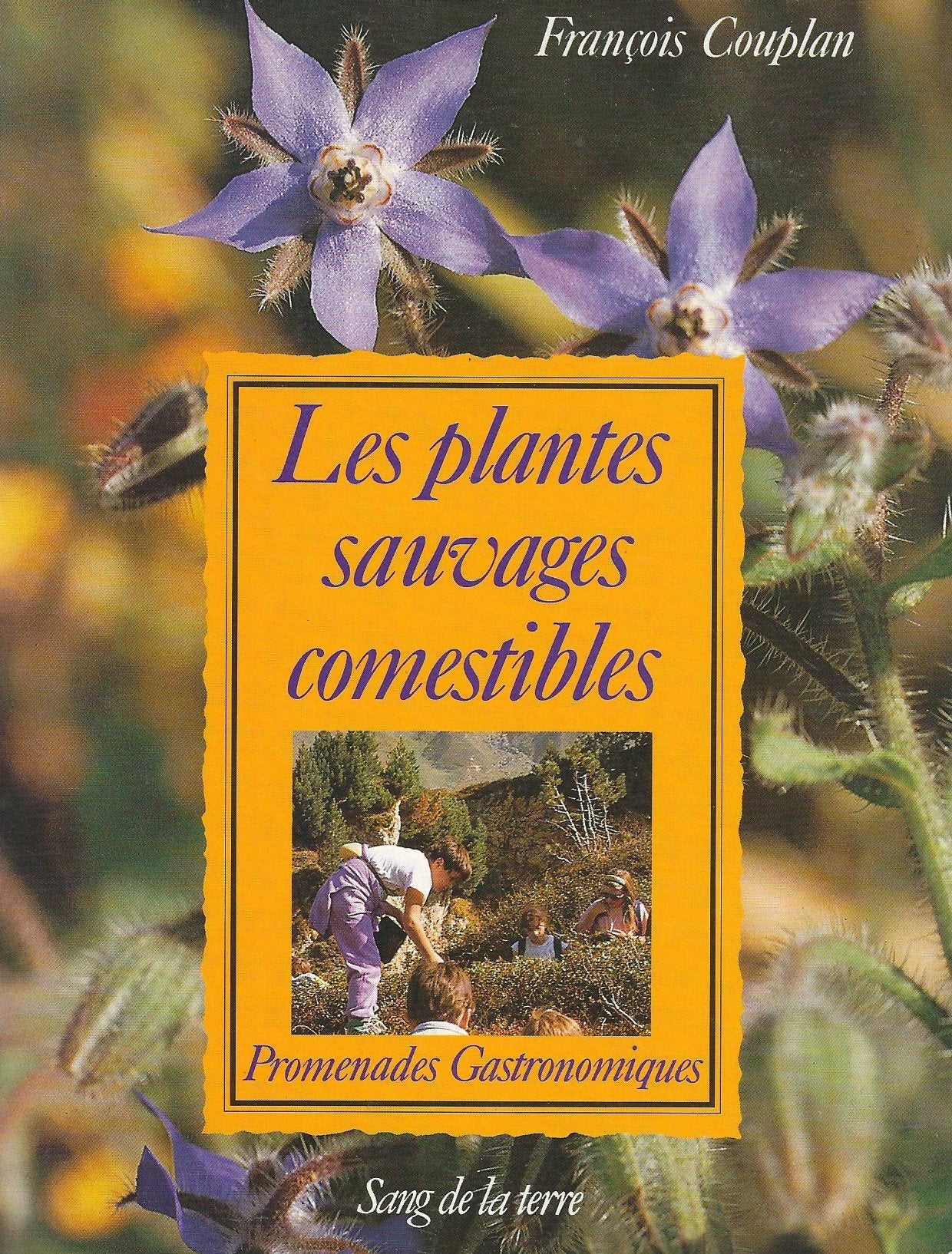 Les plantes sauvages comestibles : promenades gastronomiques book