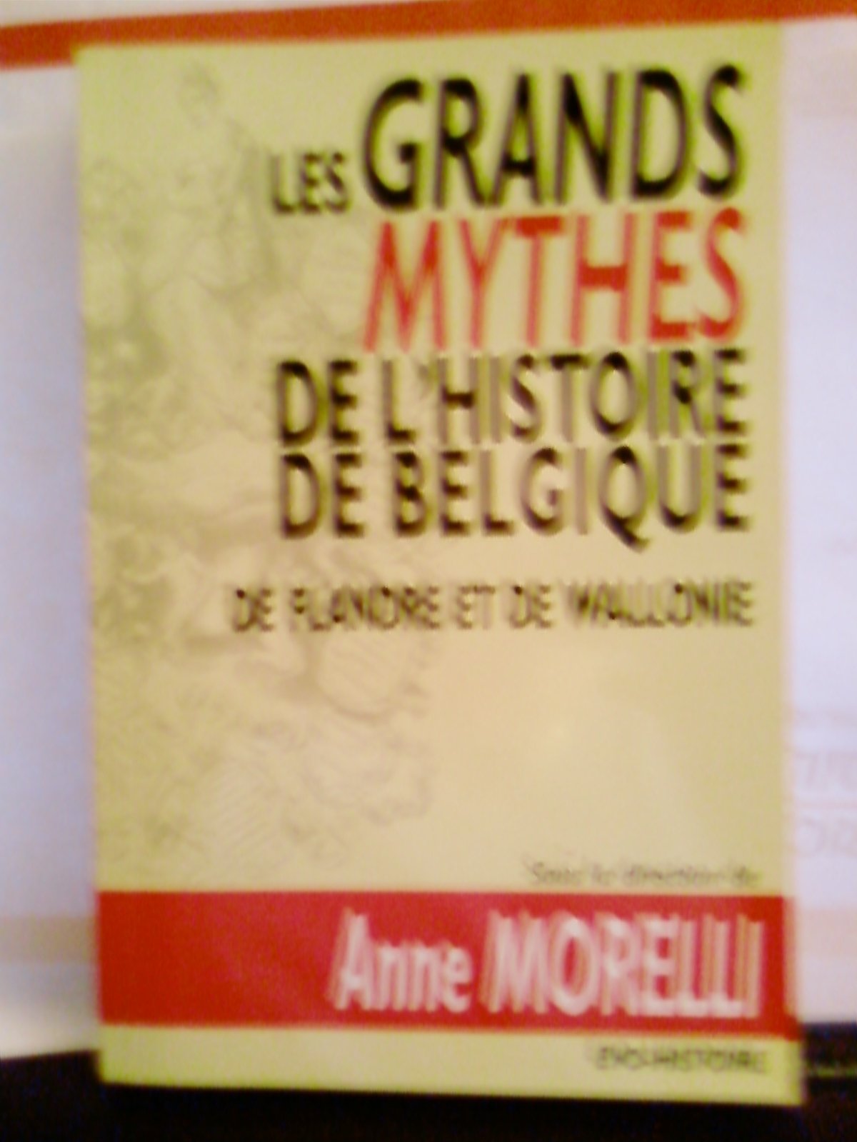 Les grands mythes de l'histoire de Belgique, de Flandre et de Wallonie (EVO histoire) (French Edition) Books