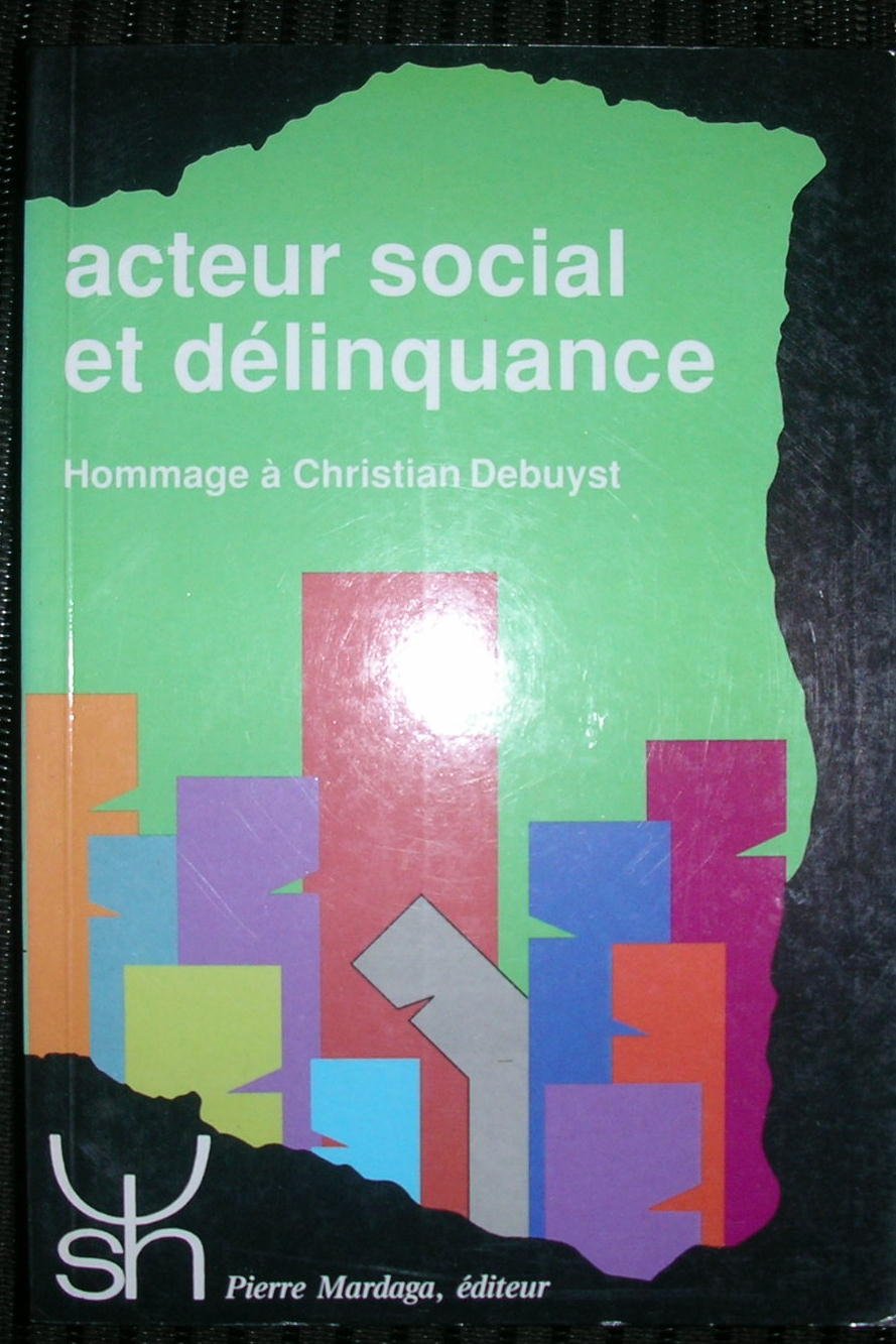 ACTEUR SOCIAL ET DELINQUANCE. HOMMAGE A C.DEBUYST 185: Une grille de lecture du système pénal Books