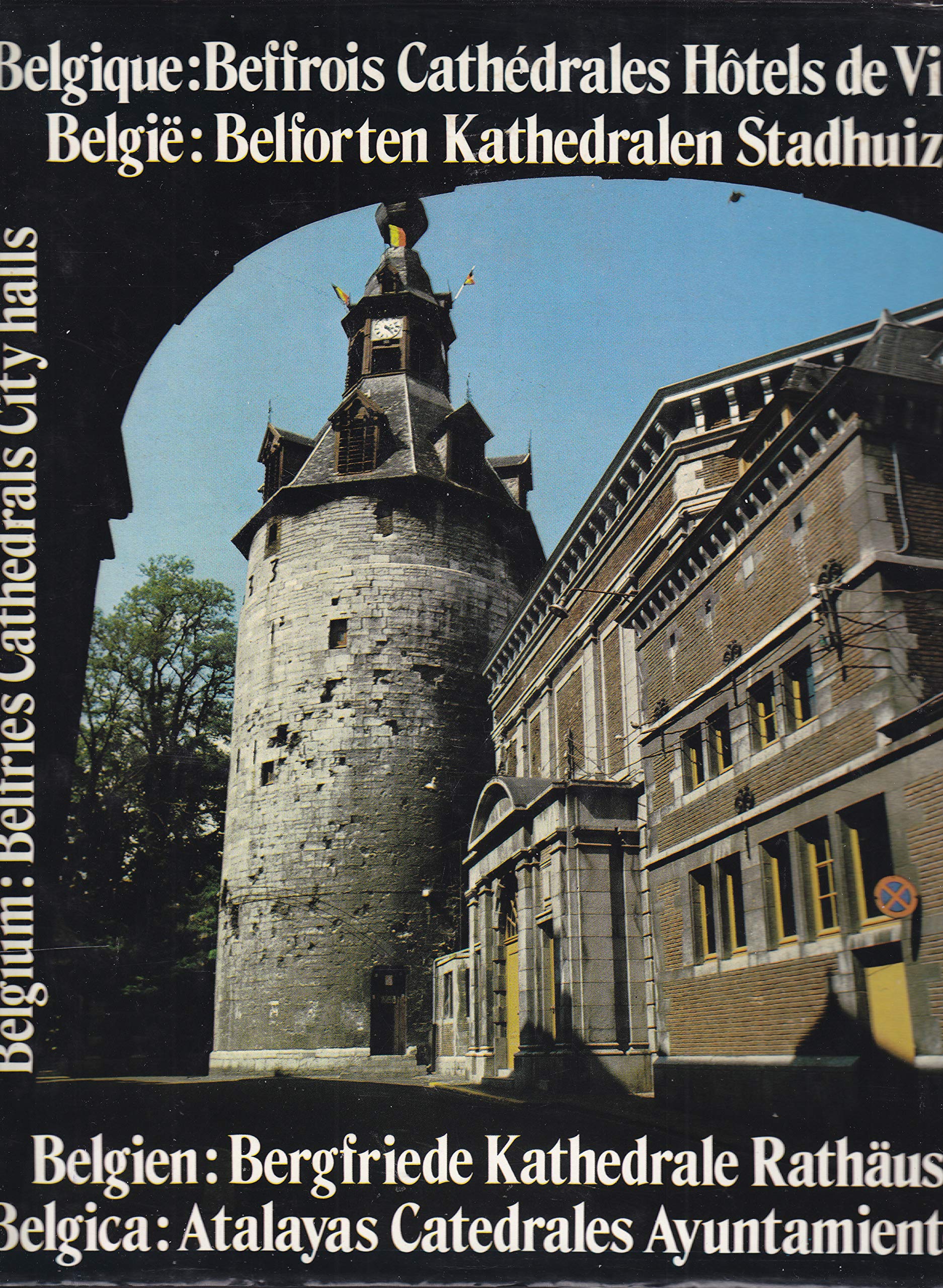 Belgique : beffrois, cathédrales, hôtels de ville Books