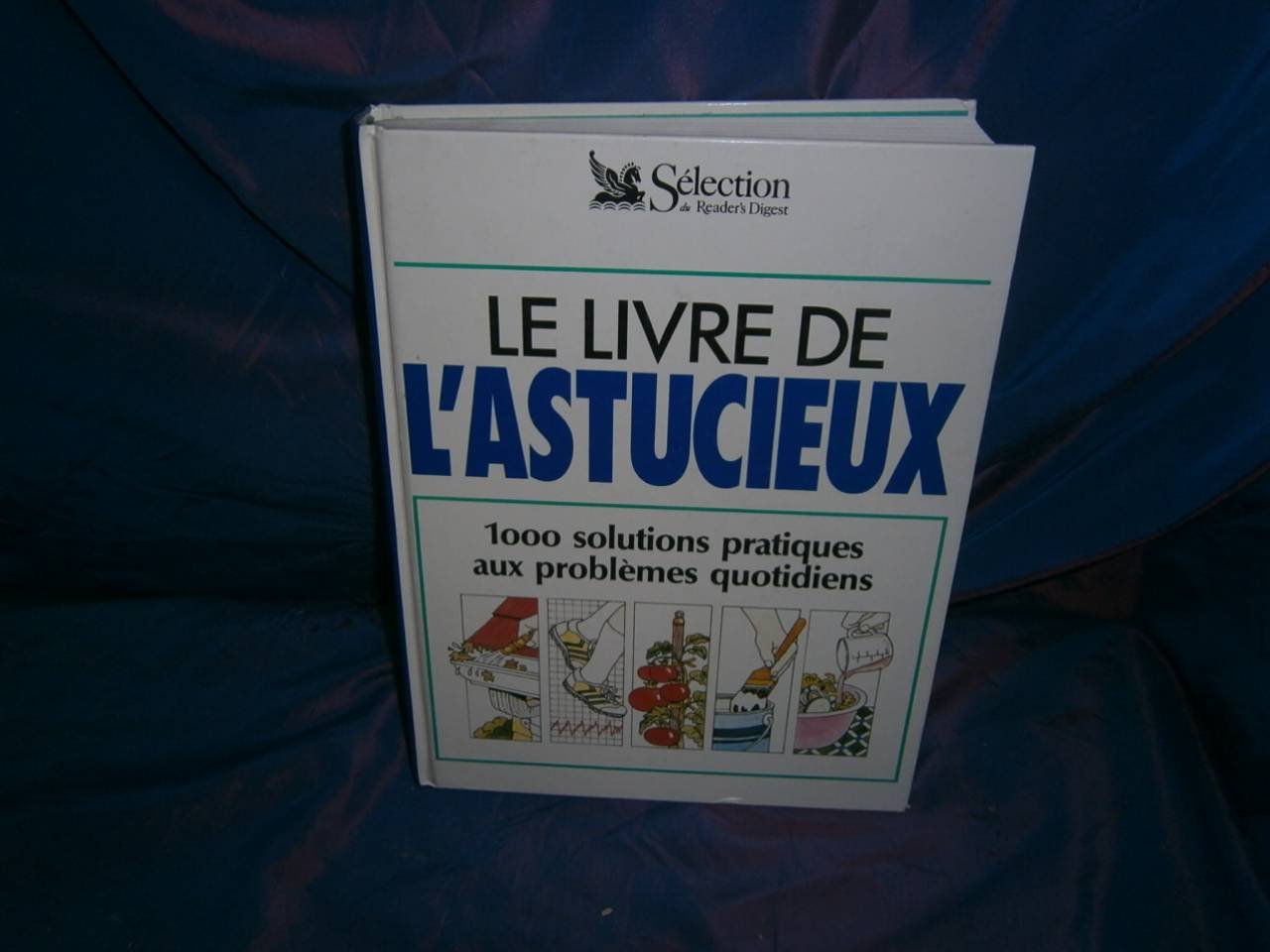 Le livre de l'astucieux Books