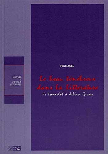 Le beau ténébreux dans la littérature. book