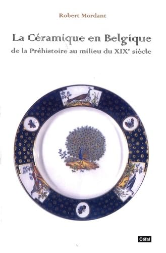 La céramique en Belgique: De la Préhistoire au milieu du XIXe siècle book