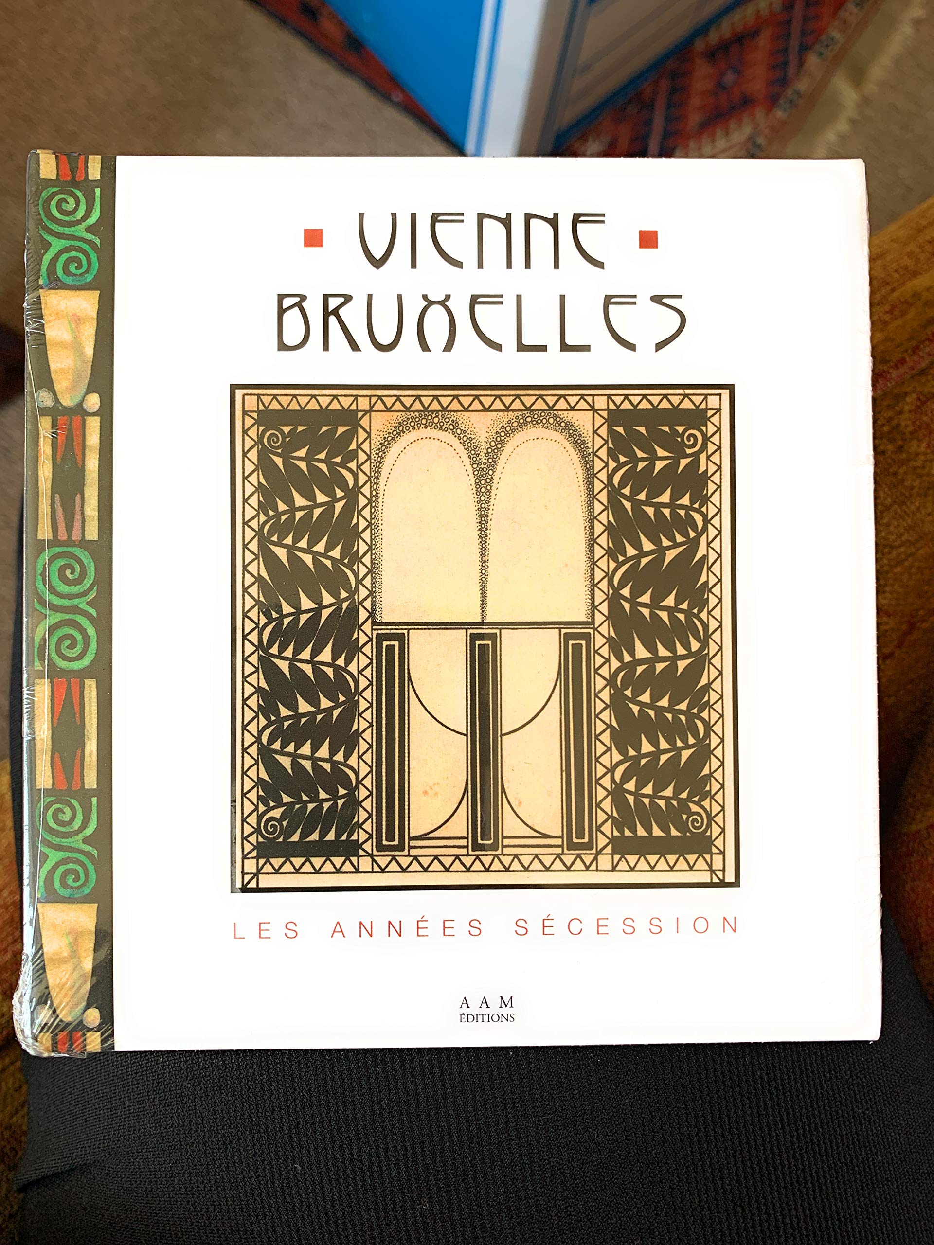 Vienne - Bruxelles: Les années Sécession Architecture