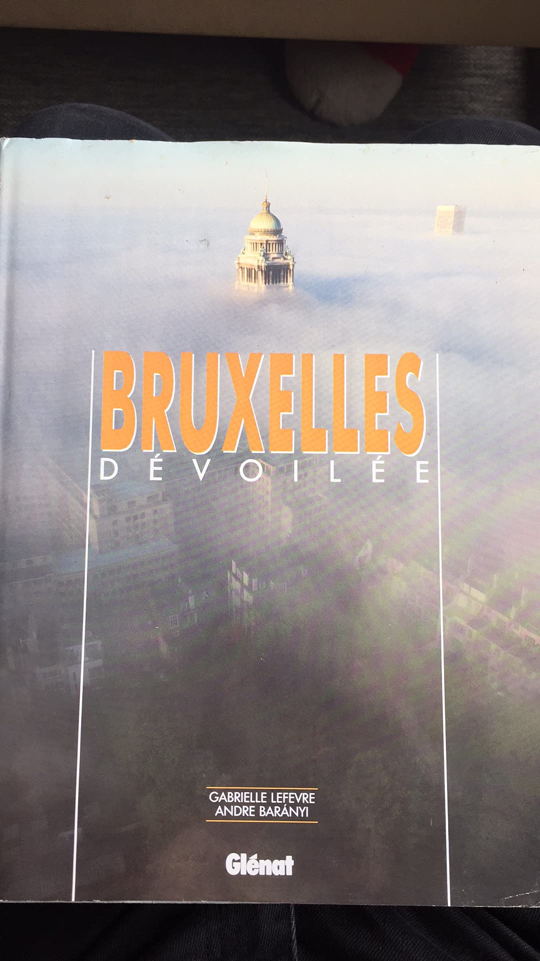 Bruxelles dévoilée Books
