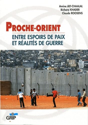 Proche-Orient : Entre espoirs de paix et réalités de guerre book