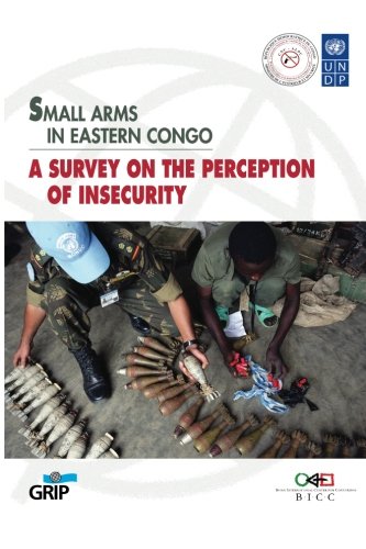 Small arms in Eastern Congo: A survey on the perception of insecurity Politics & History