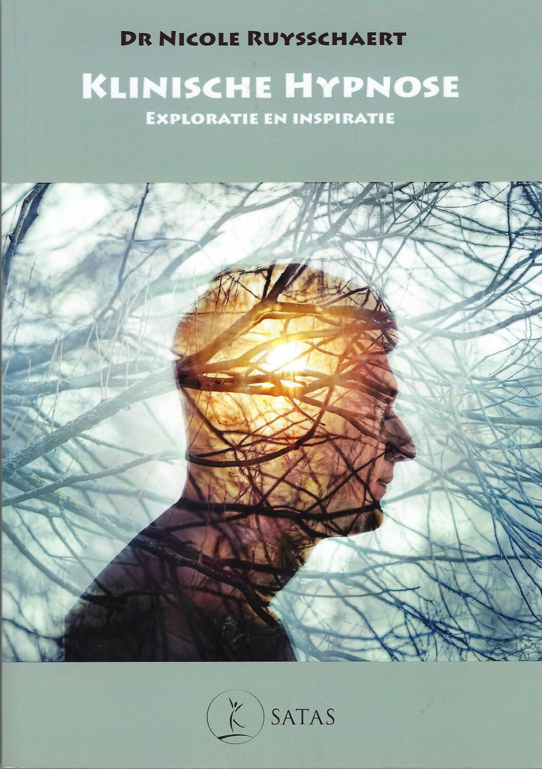 Klinische hypnose - Exploratie en inspiratie book