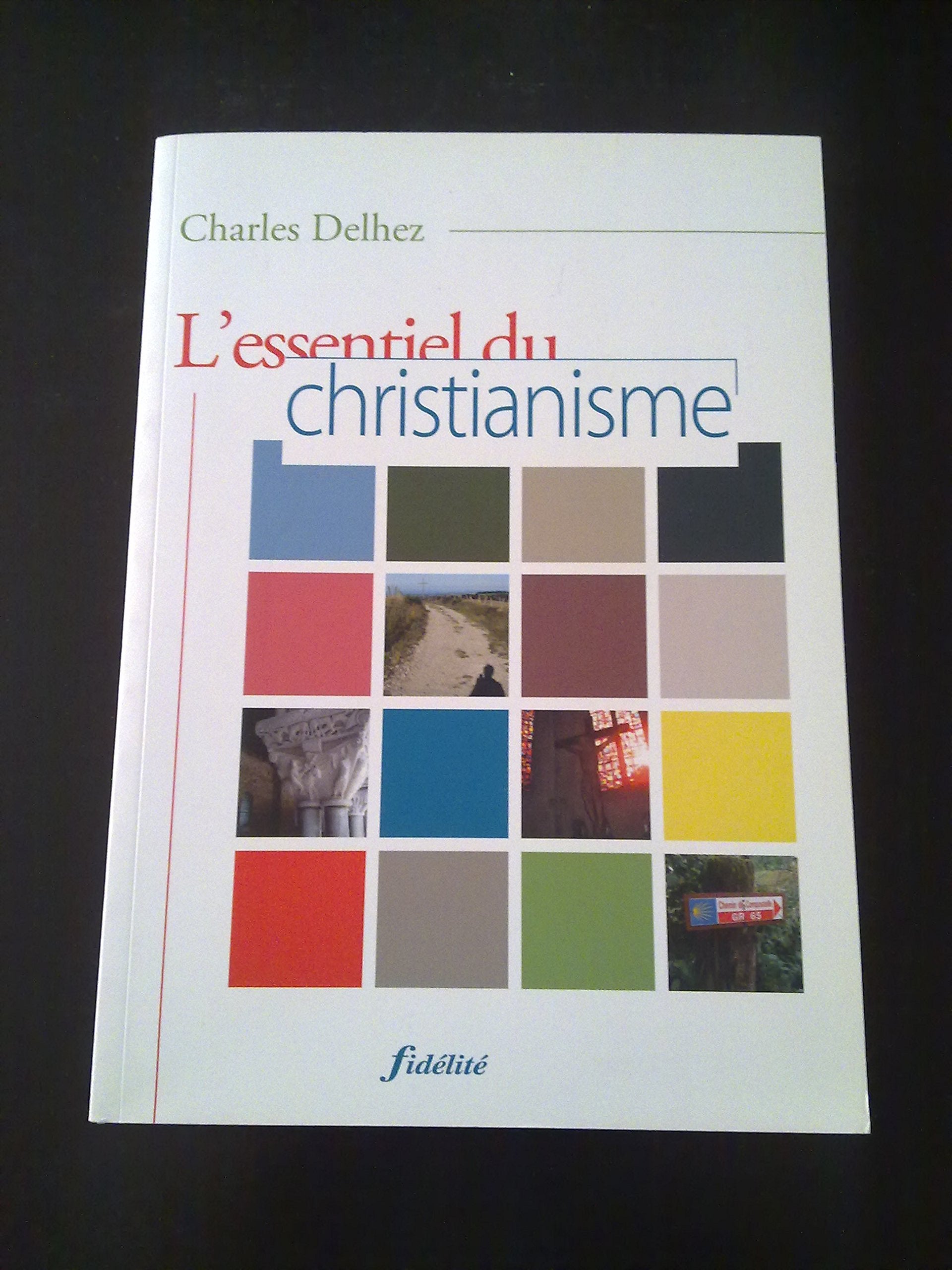 L'essentiel du christianisme book