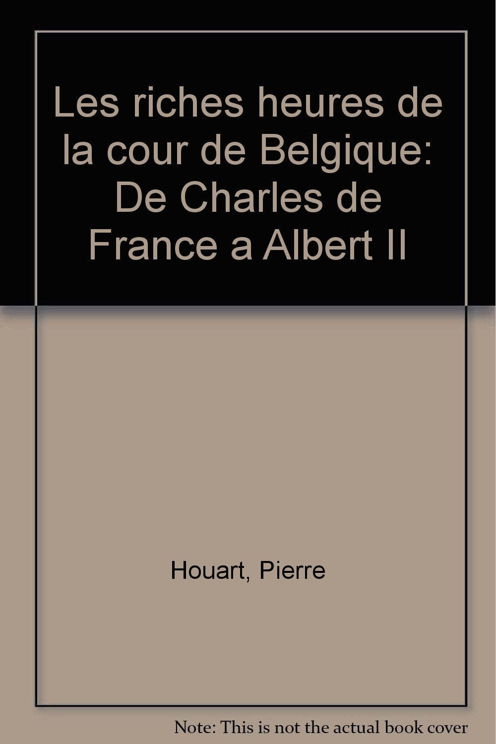 Riches heures à la cour de Belgique book