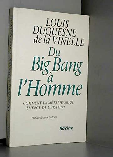 Du big bang à l'homme : comment la métaphysique émerge de l'histoire book
