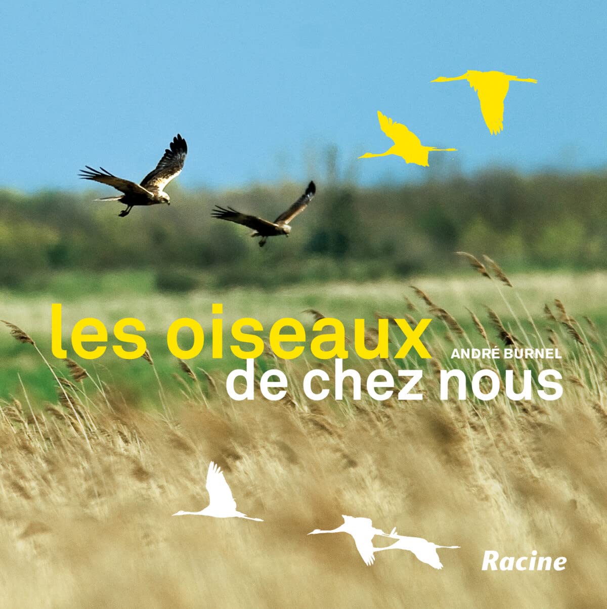 Les oiseaux de chez nous: Alouettes, bouvreuils, martinets, moineaux, geais, cigognes, faucons pèlerins... Non-fiction