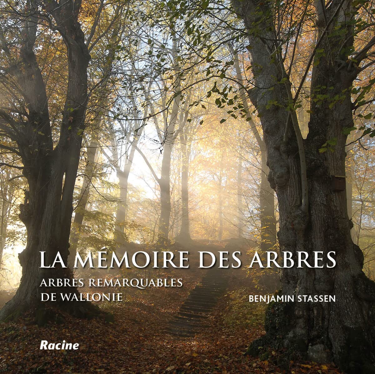 La mémoire des arbres: Arbres remarquables de Wallonie book