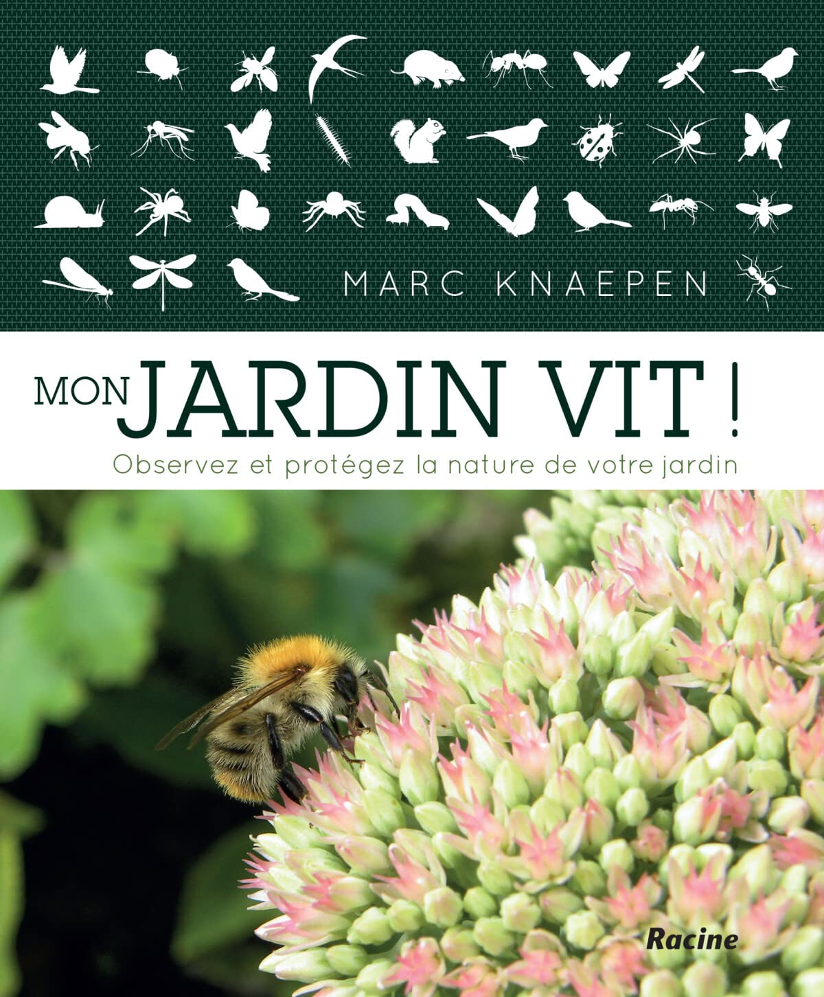 Mon jardin vit!: Observez et protégez la nature de votre jardin Leisure, Home & Garden