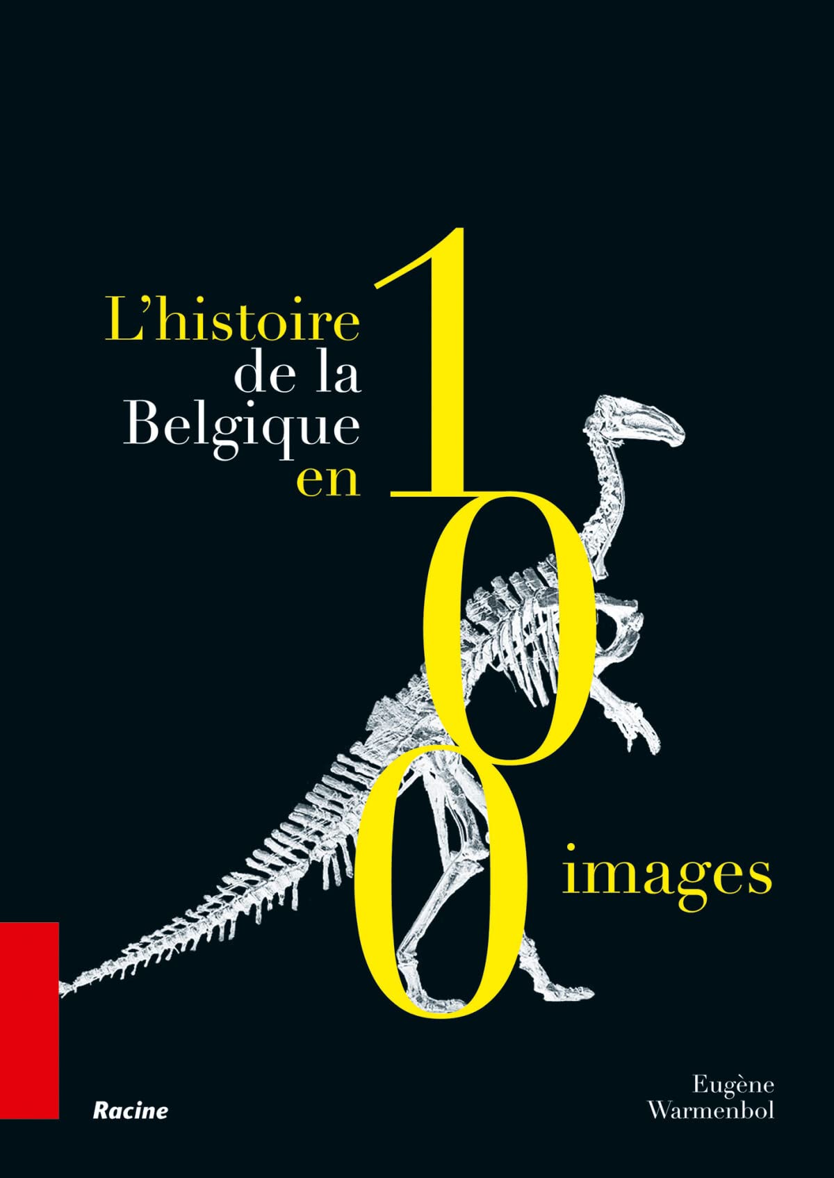 L'histoire de la belgique en 100 images book
