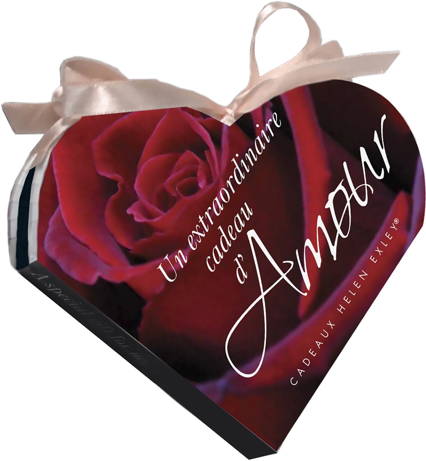 amour - un extraordinaire cadeau d'amour book