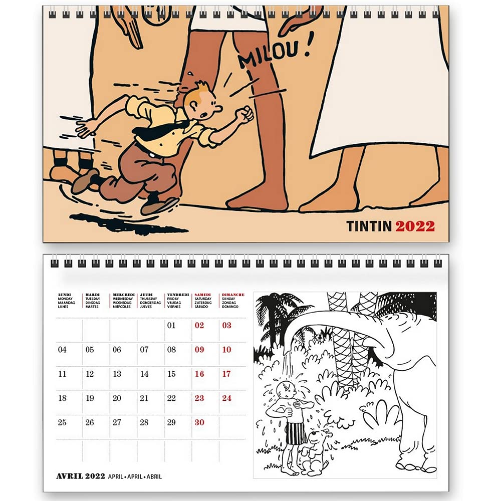 Calendrier de bureau 2022 Tintin 21x12,5cm (24451) book
