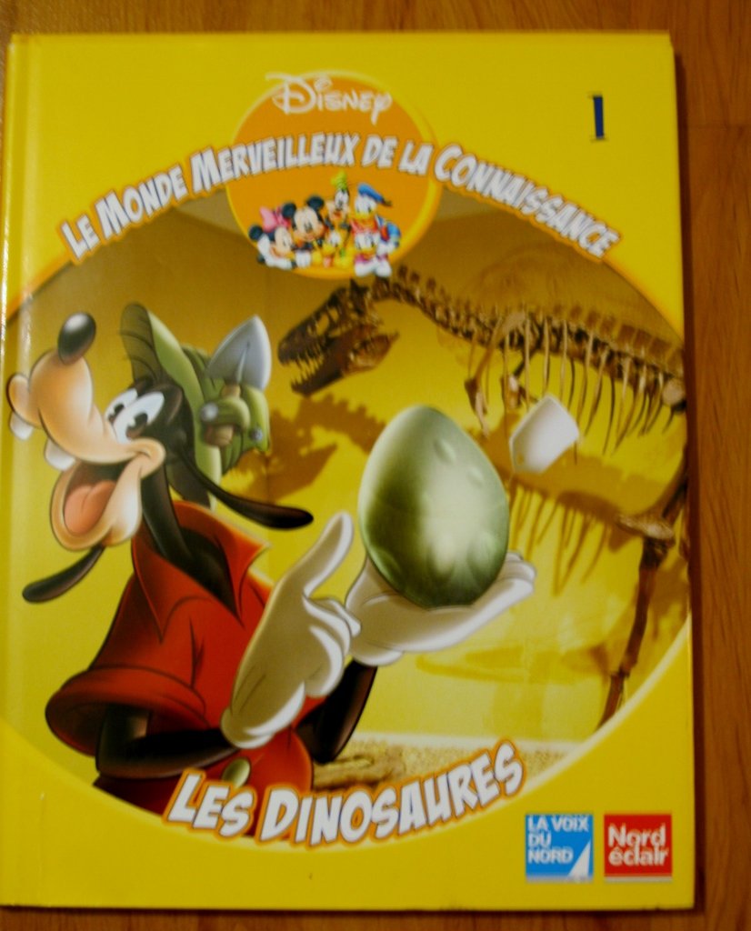 Les dinosaures (Le monde merveilleux de la connaissance) book