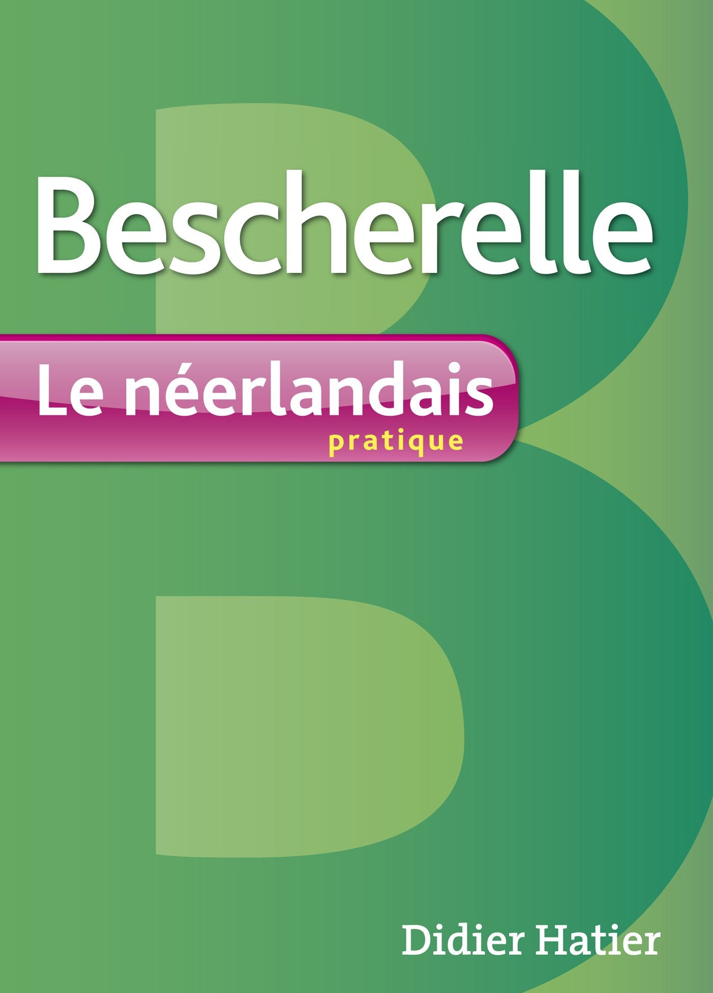 Bescherelle - le neerlandais pratique book