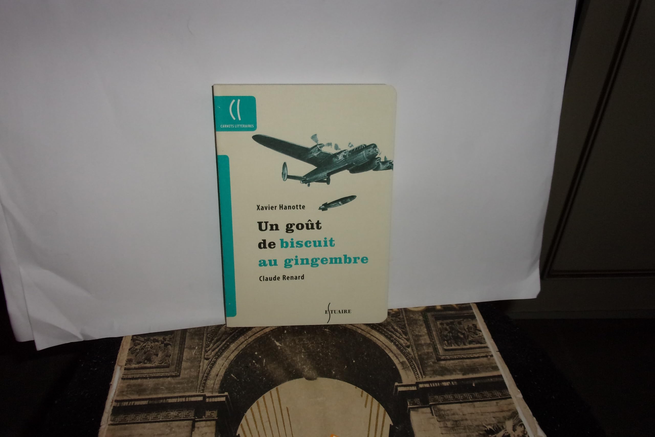 Un goût de bisuit au gingembre: (L'architecte du désastre) Books