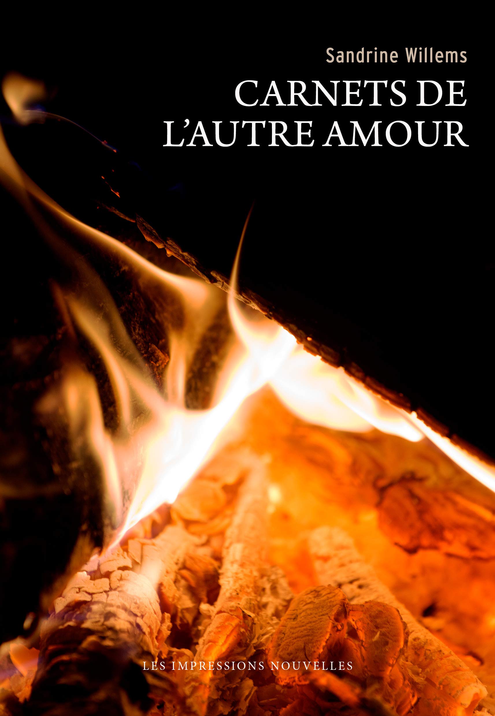 CARNETS DE L'AUTRE AMOUR: Suivis de L'incendiée Contemporary literature