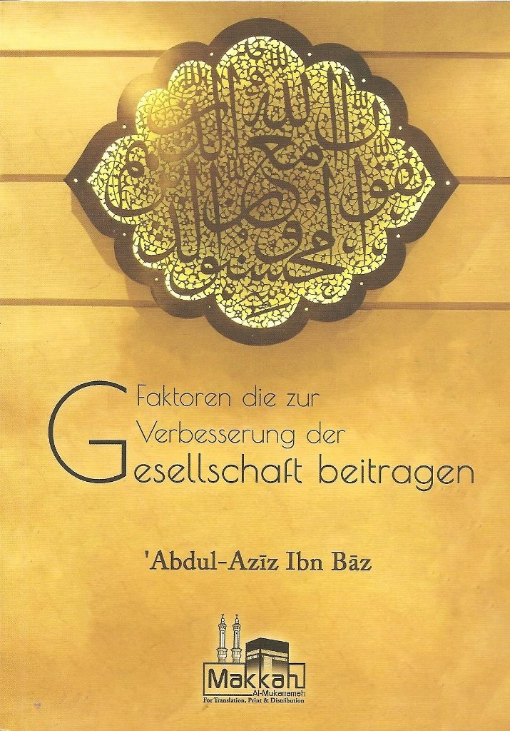 Faktoren die zur Verbesserung der Gesellschaft beitragen Books