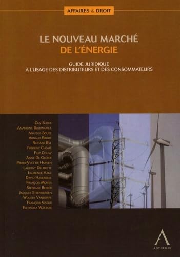 LE NOUVEAU MARCHÉ DE L'ÉNERGIE: GUIDE JURIDIQUE À L'USAGE DES DISTRIBUTEURS ET DES CONSOMMATEURS book