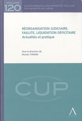 RÉORGANISATION JUDICIAIRE, FAILLITE, LIQUIDATION DÉFICITAIRE - ACTUALITÉS ET PRA: SOUS LA DIRECTION DE NICOLAS THIRION book