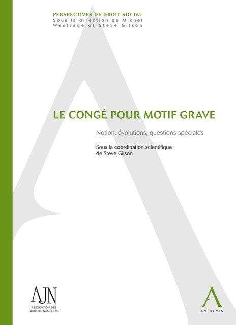 LE CONGÉ POUR MOTIF GRAVE: SOUS LA COORDINATION DE STEVE GILSON book