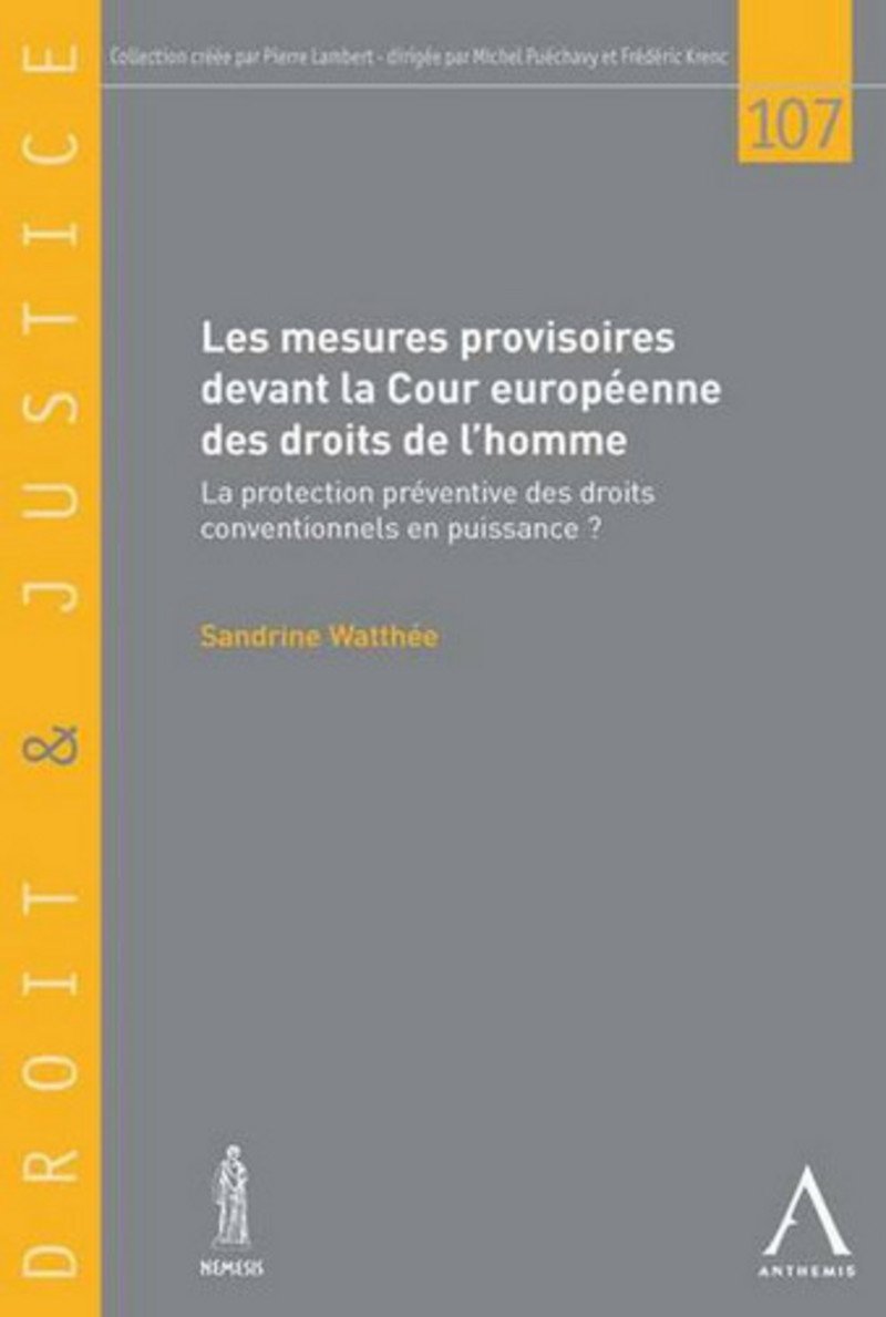 Les Mesures provisoires devant la Cour européenne des droits de l'homme book