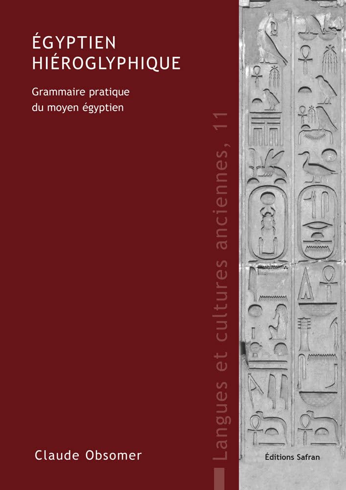 Egyptien hiéroglyphique: Grammaire pratique du moyen égyptien book