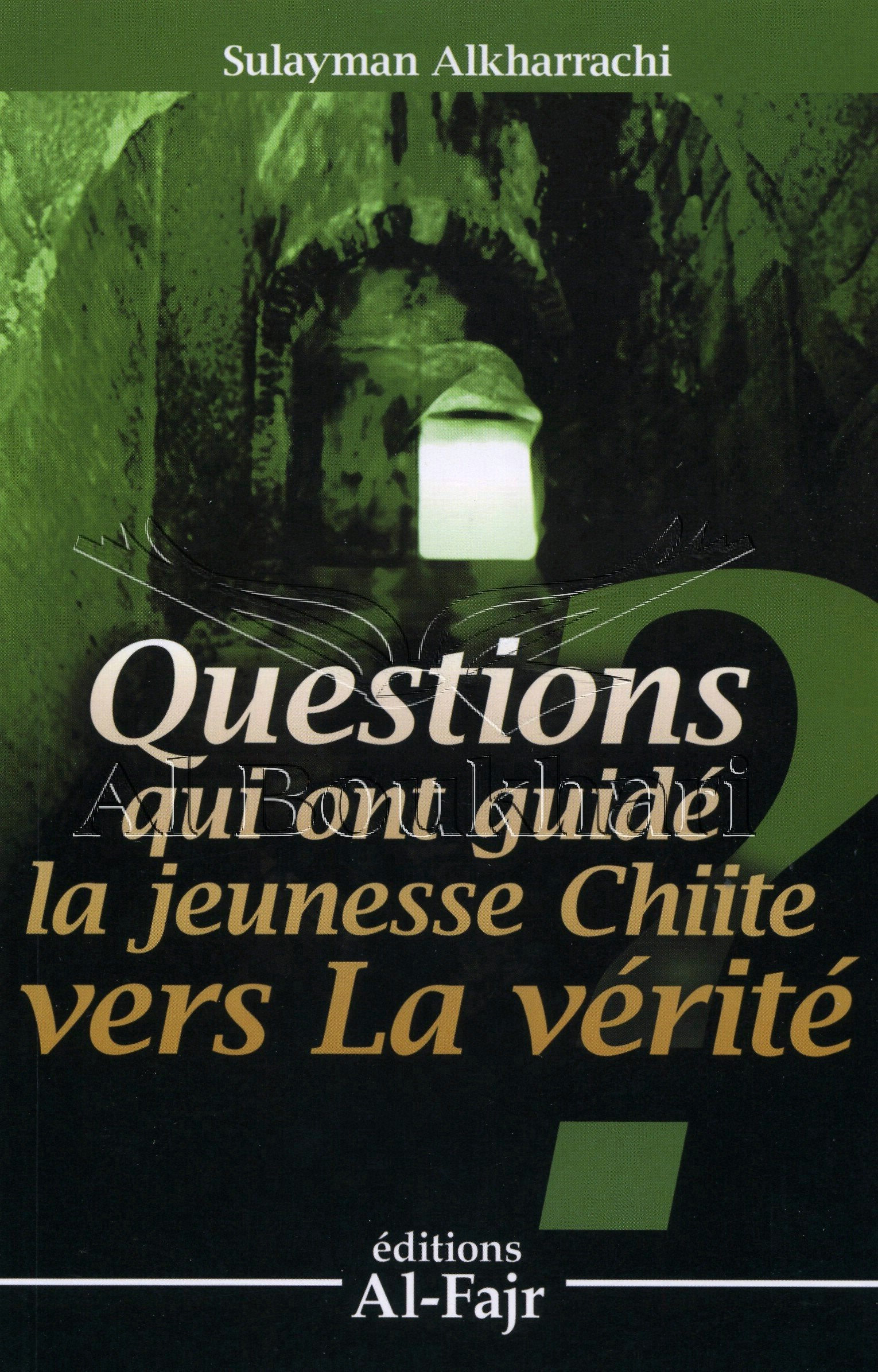 QUESTIONS QUI ONT GUIDÉ LA JEUNESSE CHIITE VERS LA ... Book Books