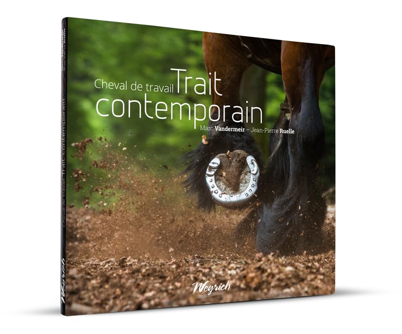 CHEVAL DE TRAVAIL TRAIT CONTEMPORAIN Film, Art & Culture