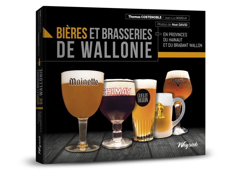 Bières et brasseries de Wallonie: Hainaut et Brabant wallon book