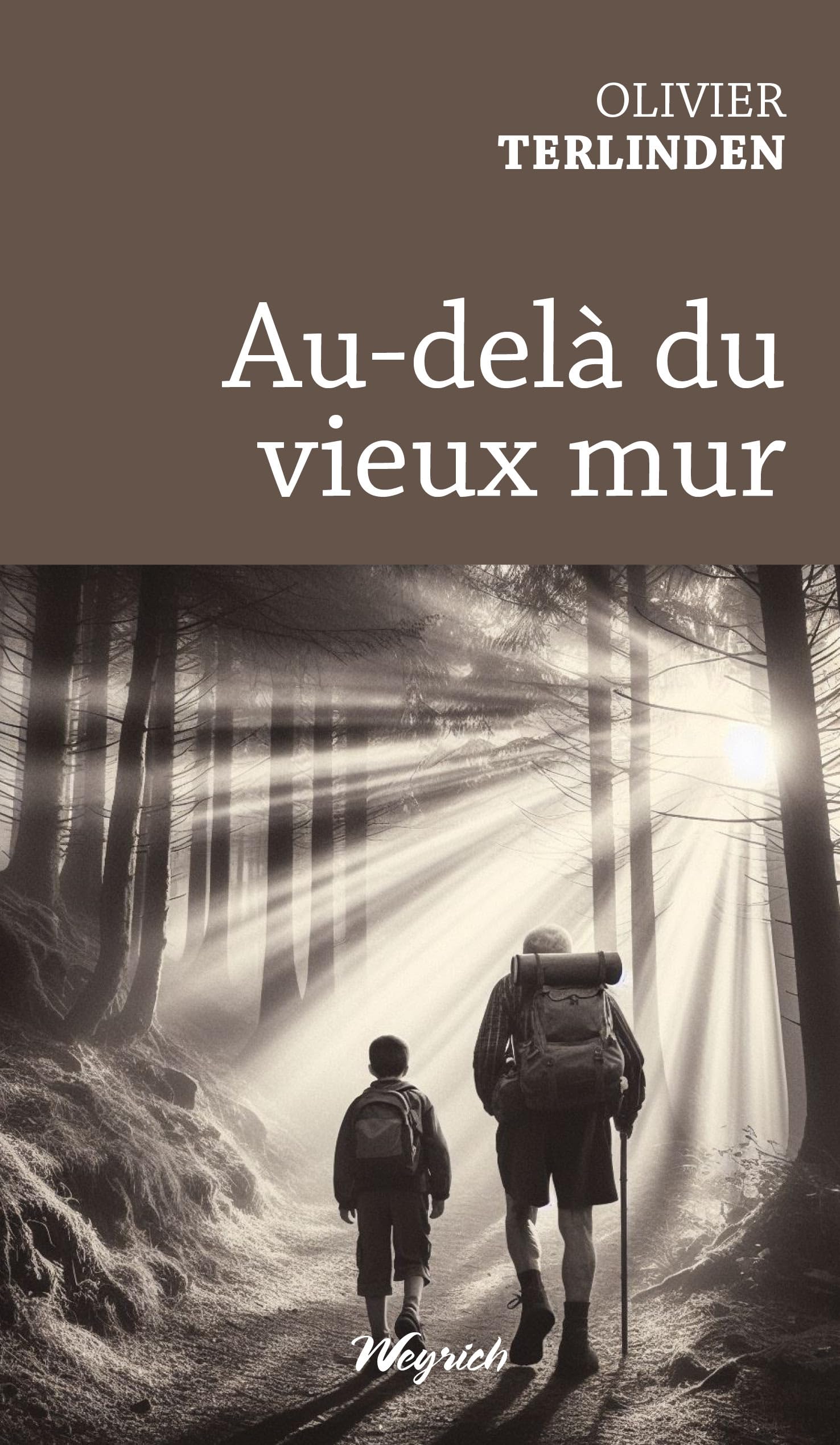 Au-delà du vieux mur book