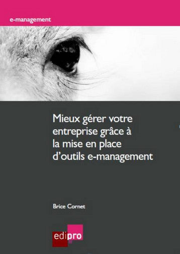 Mieux gérer votre entreprise grâce à la mise en place d'outils e-management : méthodologie, implémentation et bénéfices pour les indépendants, TPE et PME book