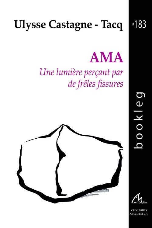 AMA: Une lumière perçant par de frêles fissures Books