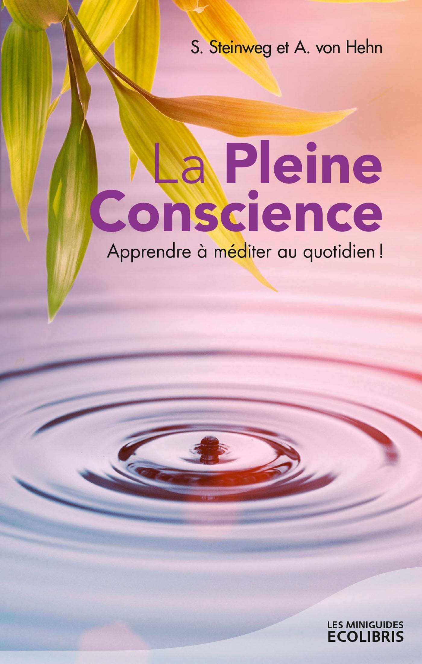 La Pleine Conscience: Apprendre à méditer au quotidien book