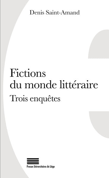 Fictions du monde littéraire : trois enquêtes book