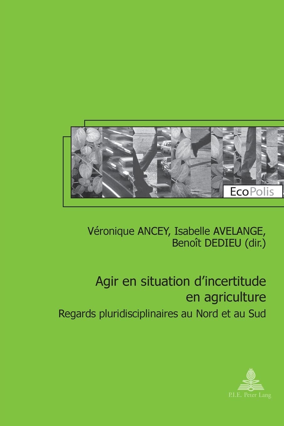 Agir en situation d'incertitude en agriculture: Regards pluridisciplinaires au Nord et au Sud book